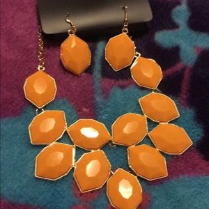 Juego de collar y aretes